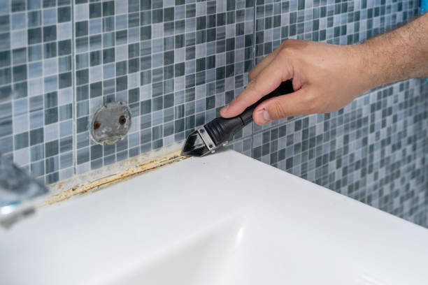 Best Certified Mold Removal  in Daytona Beach, FL