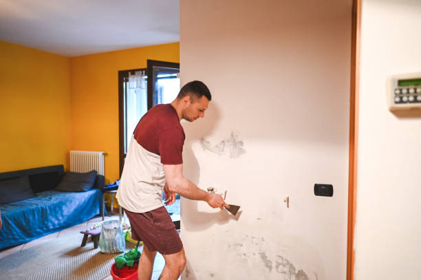 Mold Testing and Removal in Daytona Beach, FL